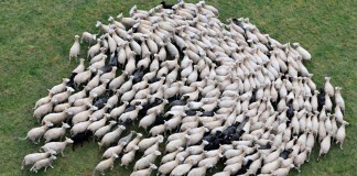 Les 10 stratégies de manipulation des masses dans les medias Manipulation des masses