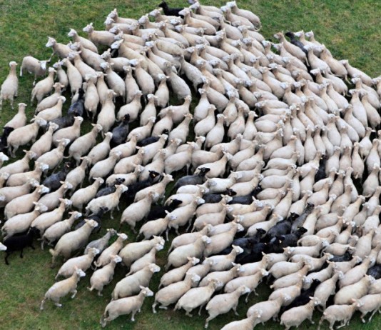 Les 10 stratégies de manipulation des masses dans les medias Manipulation des masses