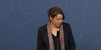 Dis Papa, pourquoi elle pleure, la dame…? Vice premier ministre suedoise en larmes